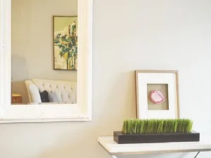 Home Omni Glaziers Canberra 5 Mirrors Caboolture